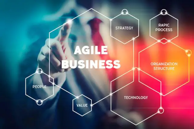 Embracing Agility in Business: A Necessity for Thriving in a Dynamic World