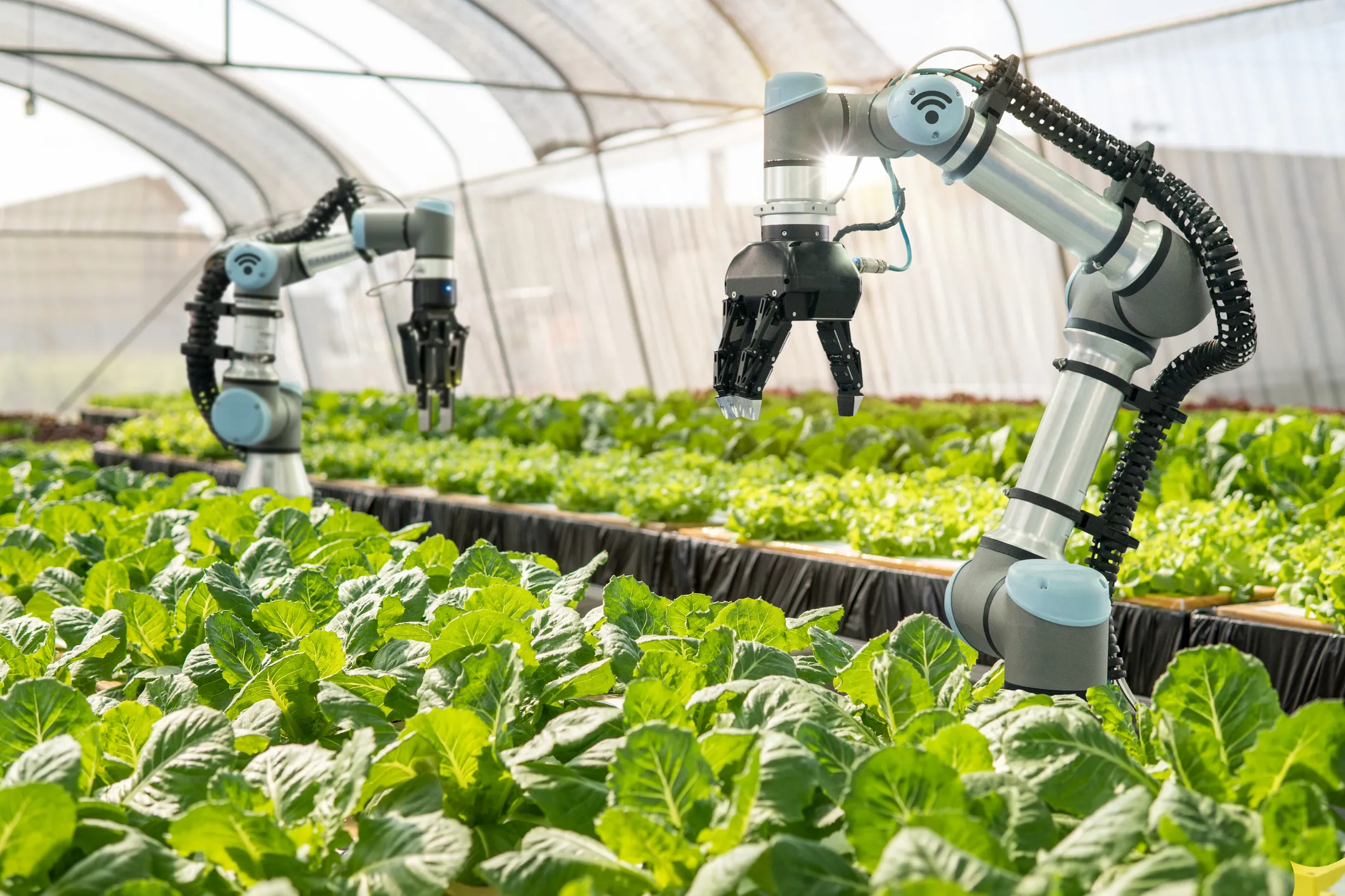 Exploring the Future of Food and Agriculture in Finance