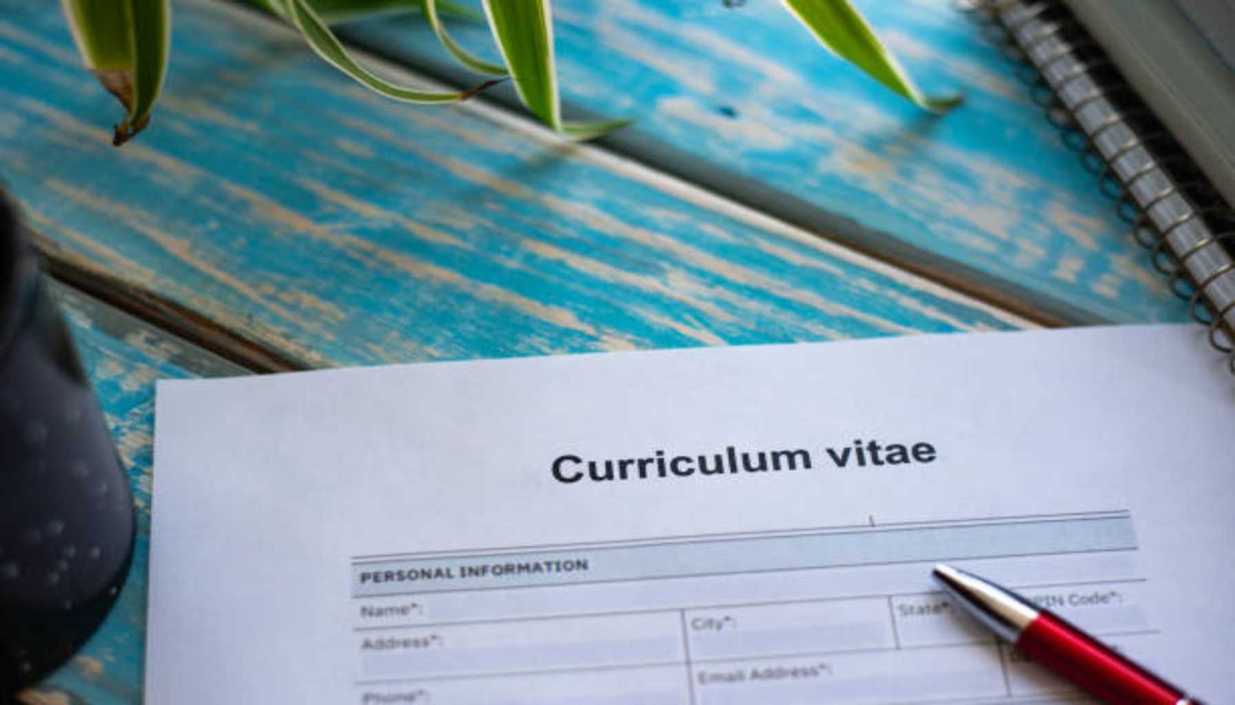 CV Builder Example – How to Create a Perfect Resume with Mycvcreator