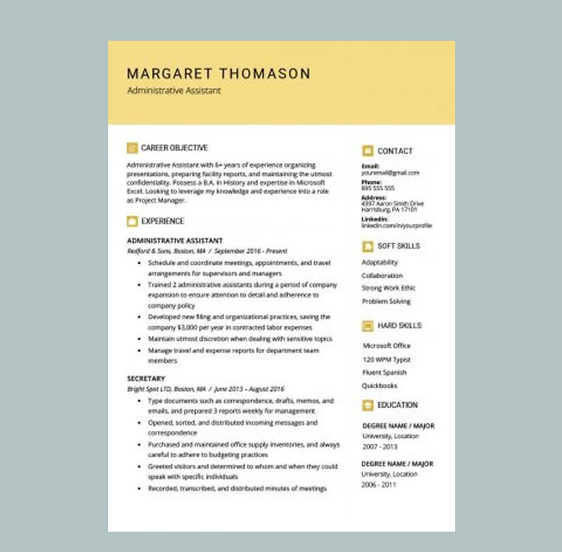 Stylish Resume Template Gold