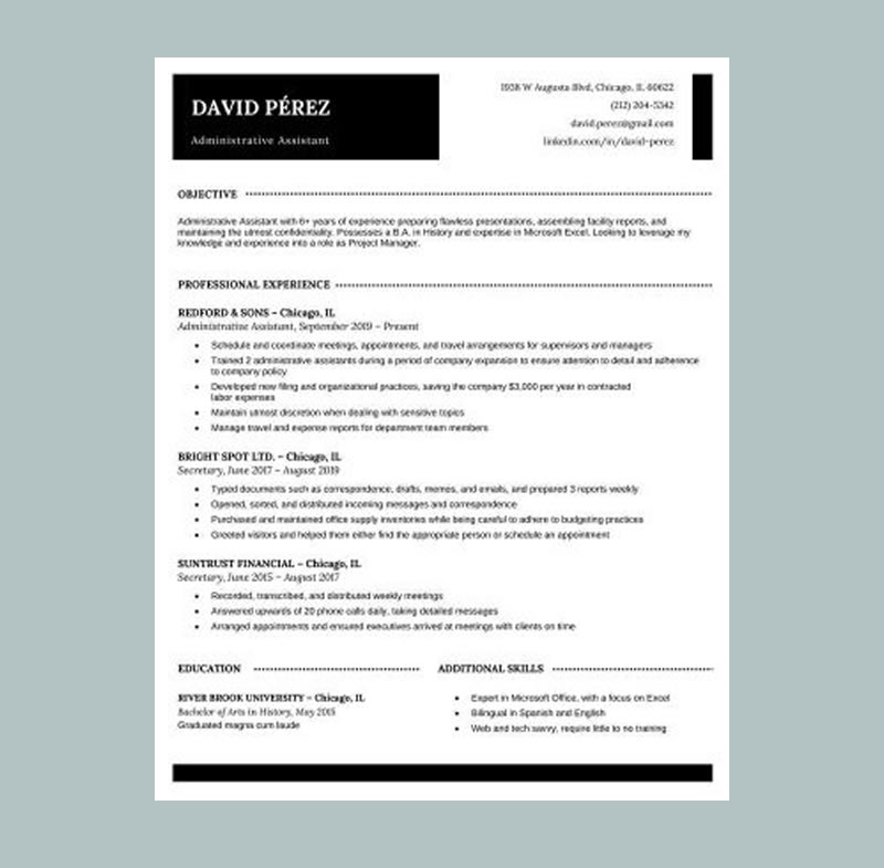 Original Professional Resume Word Template Black