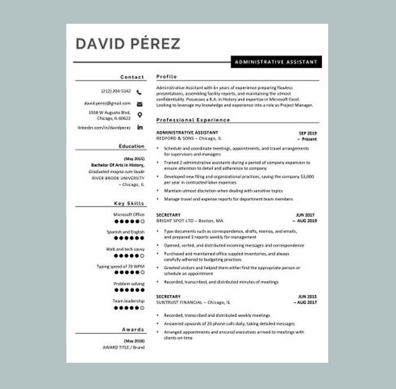 Minimalist Professional Resume Template Black