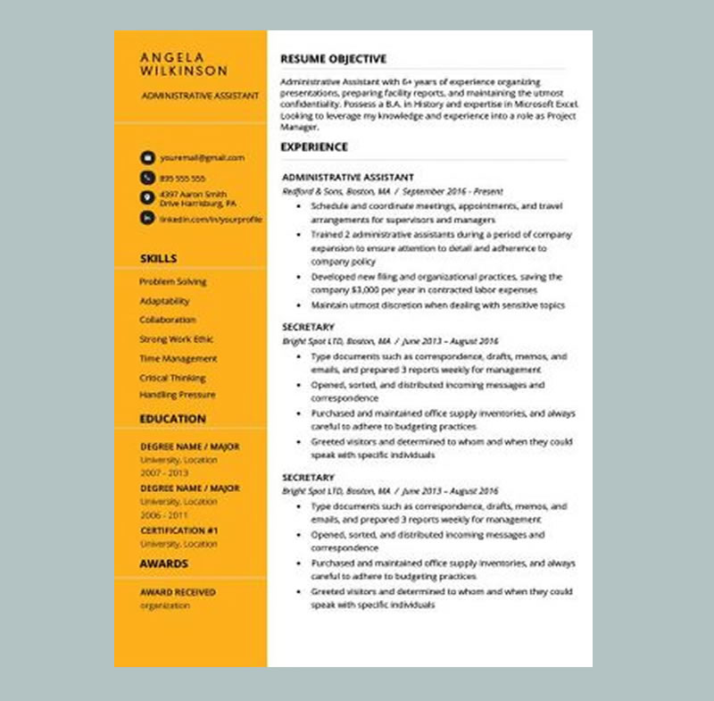 Clean And Polished Resume Gold